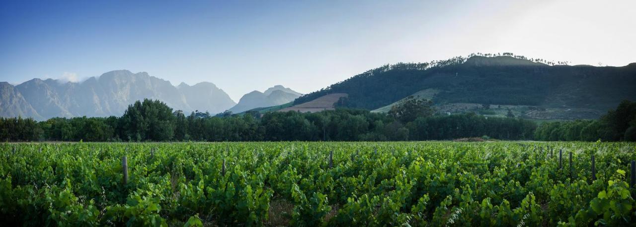 Gite Franschhoek Buitenkant foto