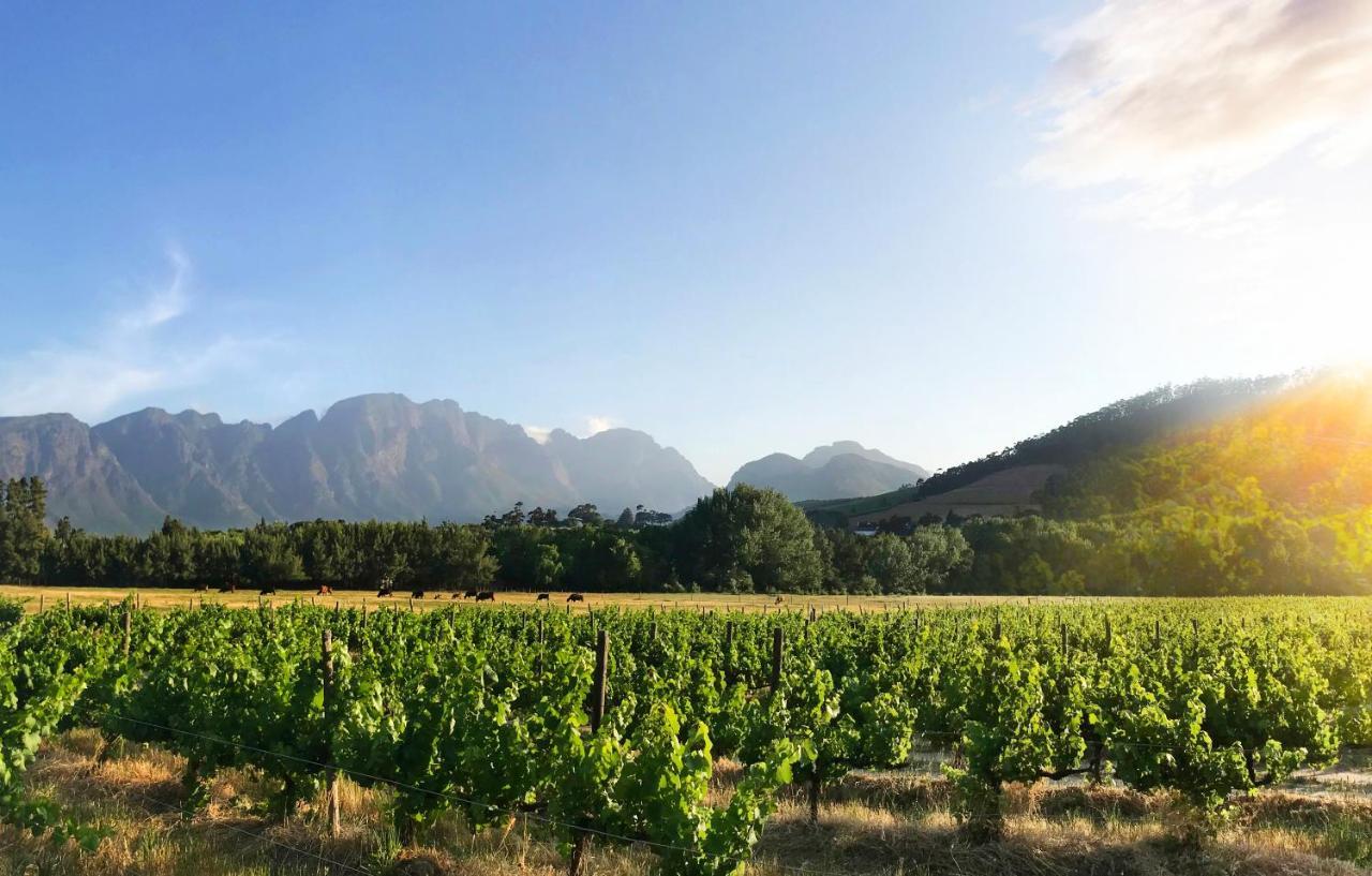 Gite Franschhoek Buitenkant foto