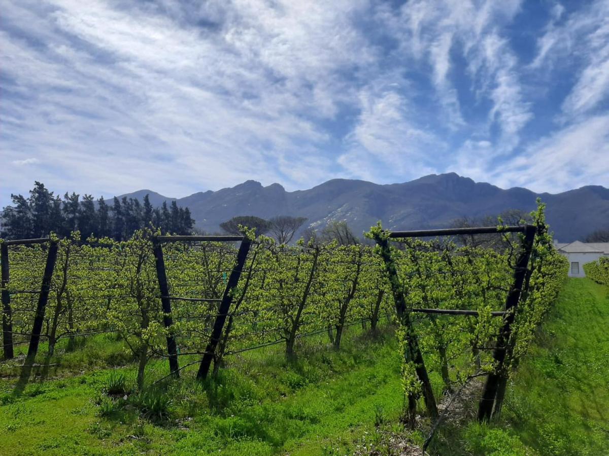 Gite Franschhoek Buitenkant foto